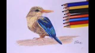 Staedtler colored pencils review  Staedtler vs Prismacolor [upl. by Nitin]