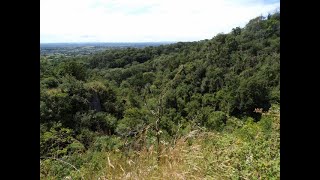 Priddy amp Ebbor Gorge Circular Hike Part VI A Wander Thru Ebbor Gorge by Sheila 11th July 2024 [upl. by Blondell154]