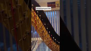 Why is it called a pedal harp  Pedal harp mechanism 101 in 1 minute  pedalharp harpist harp [upl. by Crystie]