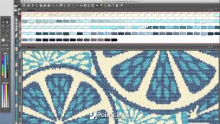 Pointcarre ProDesign  Textile CAD Program [upl. by Armington149]