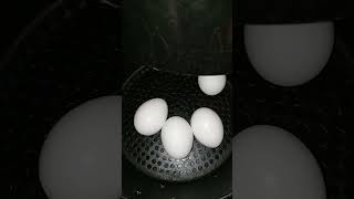 How to make Hard Boiled Egg in Air Fryer  Air Fryer Egg [upl. by Thordia679]