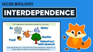 Interdependence  GCSE Biology [upl. by Nosyrb]