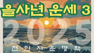 을사년 운세 3편  간지 배합 [upl. by Ettenot]