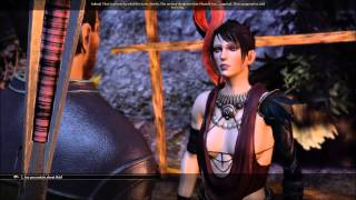 Dragon Age Origins  Morrigan Asks for Flemeth to Die [upl. by Onitnatsnoc]