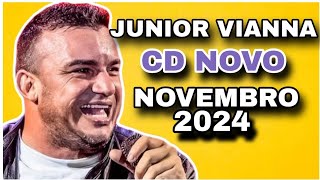 JUNIOR VIANNA NOVEMBRO 2024  MÚSICAS NOVAS  ATUALIZADO PRA PAREDÃO COMO ANTIGAMENTE [upl. by Campagna439]