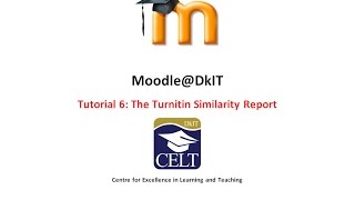 The Similarity Report in Turnitin [upl. by Kamin]