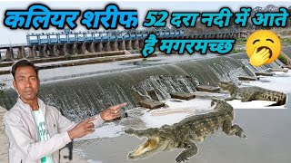 kaliyar Sharif 52 दरा नदी में आते हैं मगरमच्छ kaliyar Sharif 52 Dhara nadi dhanori Haridwar [upl. by Rebe501]