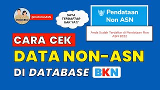 Cara Cek Data NonASN di Database BKN – Cek Hasil Pendataan Non ASN 2022 [upl. by Aborn475]