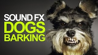 DOGS BARKING  Sound Effects High Quality [upl. by Ydissahc376]