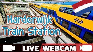 🚊🅻🅸🆅🅴🚉Harderwijk Train Station🚄Route ZwolleUtrecht🚇HollandTreinstationNederlandIntercity Sprinte [upl. by Niasuh]