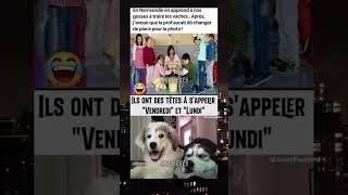 La Normandie😭meme drole viralvideo [upl. by Guimar738]