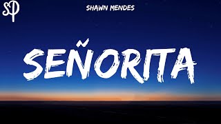 Shawn Mendes Camila Cabello  Señorita Lyrics [upl. by Forlini]