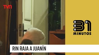 El rin raja a Juanín  31 Minutos [upl. by Rawdan133]