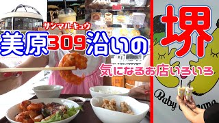 ★堺市・美原区309号線沿いの気になるお店を巡ってきた★通るたびに気になっていたお店ですｗ [upl. by Sueahccaz]