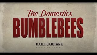 The Domestic Bumblebees by RailroadHank Productions©2022 [upl. by Gunthar]