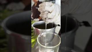 Fresh aloe vera gel making videoflpaloeveraytyoutubeshortsviralshorttrandingshortflpindia [upl. by Peppy]