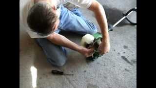 How to replace fuel gas line on a weed wacker by Carl Quakenbush 2 stroke line trimmer [upl. by Helfant230]