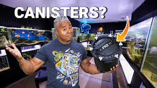 What Do I Really Think About Canister Filters Fluval FX2 [upl. by Oinolopa987]