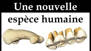 Une nouvelle espèce humaine  Homo luzonensis [upl. by Cocks]