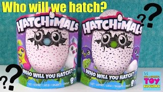 Lets Hatch Our Hatchimals Hatching Fun Surprise Egg  PSToyReviews [upl. by Aigroeg]