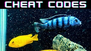 Breed Fish NOW with These Tips [upl. by Eran119]