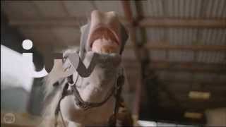 ITV ident 2013  Horse [upl. by Manville]