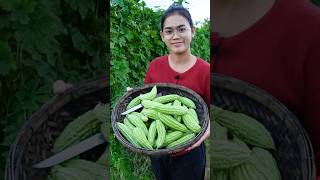 Cooking Bitter Melon with Pork for a Flavorful Meal by Country Chef BitterMelonRecipes BitterMelon [upl. by Swanhilda]