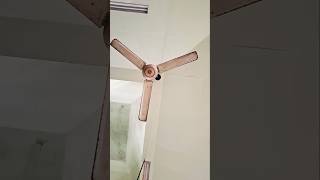 Ceiling fan ceilingfan shorts [upl. by Niamor]