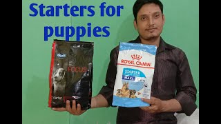 Puppy starter feeddrools starter dog foodroyal canin vs drools focus [upl. by Notsud]