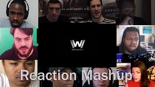 Westworld Teaser Trailer HBO  REACTION MASHUP [upl. by Appel722]