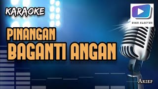 Karaoke lagu PINANGAN BAGANTI ANGANversi organ tunggalterbaru [upl. by Hertzog]