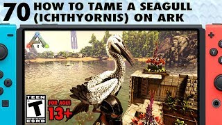 70 How to Tame Dinosaurs How to Tame a Seagull Ichthyornis  The Ark Switch Survival Guide [upl. by Eidua]