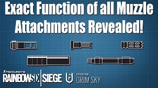 What exactly do the Muzzle Attachments do  Rainbow Six Siege [upl. by Dinah]