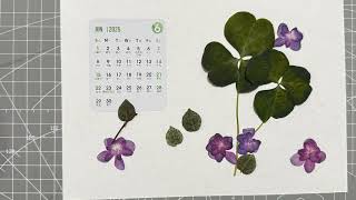 Pressed Flower Calendar2025 New Year CalendarJune 押花月历 6月 HD 1080p [upl. by Wiener]