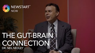 The Gut Brain Connection  Dr Neil Nedley  Nutrition  NEWSTART [upl. by Enelaehs696]