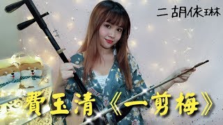 Yi Jian Mei xue hua piao piao bei feng xiao xiao 費玉清《一剪梅》二胡版 [upl. by Epoillac]