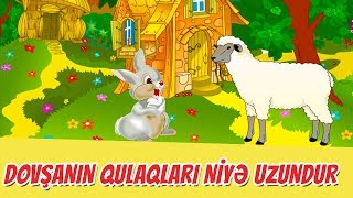 quotDovşanın qulaqları niyə uzundurquot Nağılı [upl. by Tenaj]