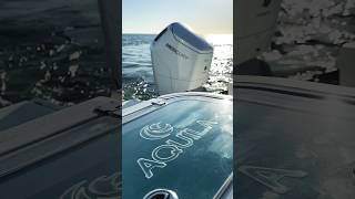 Aquila 47 Molokai and MercuryMarine V12 Verado A match made in boating heaven [upl. by Roath]