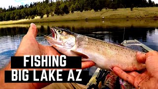 BIG LAKE AZ Fishing  with bonus catch and cook [upl. by Tilford435]