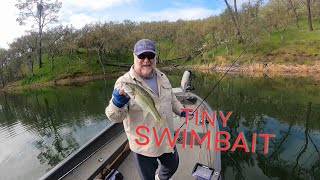 Lake Nacimiento Bass All Over Tiny Swimbait [upl. by Mahan]