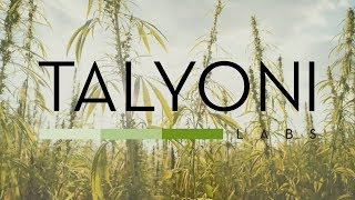 Talyoni Labs  Cannabis Sativa Collection [upl. by Thibaud]