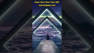 Free Will and God  Does God Give Free Will god freewill predestination jesus faith [upl. by Christi]