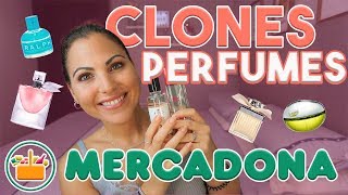 IMITACIÓN PERFUMES DE ALTA GAMA DE MERCADONA🔎  Carla Wonderland [upl. by Yerffoej]