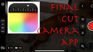 Final Cut Camera App Review [upl. by Yard]