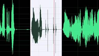 My AudioBook editing style in Adobe Audition [upl. by Noiro]