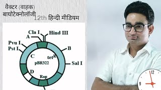 Vector and their properties  rDNA Technology by RK Sir [upl. by Freda847]