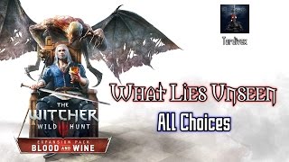 The Witcher 3 Blood and Wine What Lies Unseen  All Choices [upl. by Esil937]