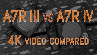 Sony A7R III vs A7R IV  4K Video Comparison [upl. by Hanzelin]