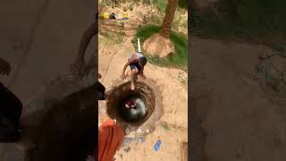 Human daredevils how did they all fit inyoutubeshorts viralvideo [upl. by Enimisaj473]