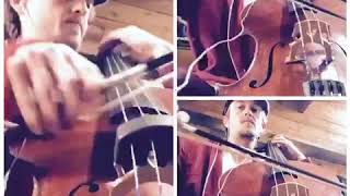 Fiddle tunes for cello Franks Reel [upl. by Nalim]